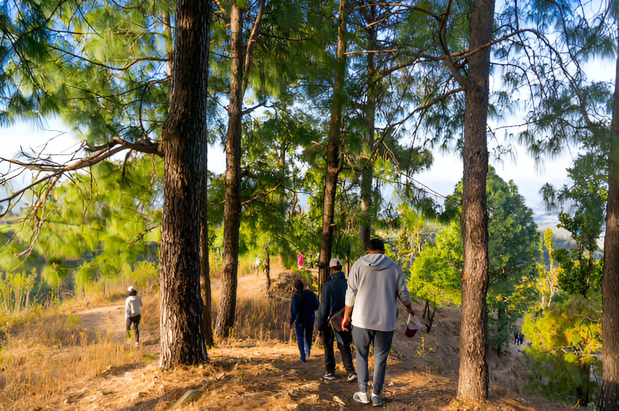 NATURE WALKS.jpg